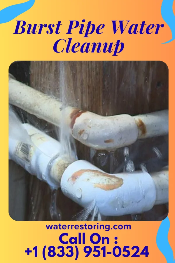 Burst Pipe Water Cleanup in Bradford Woods, PA