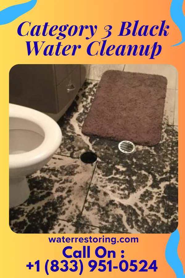 Category 3 Black Water Cleanup in Bradford Woods, PA