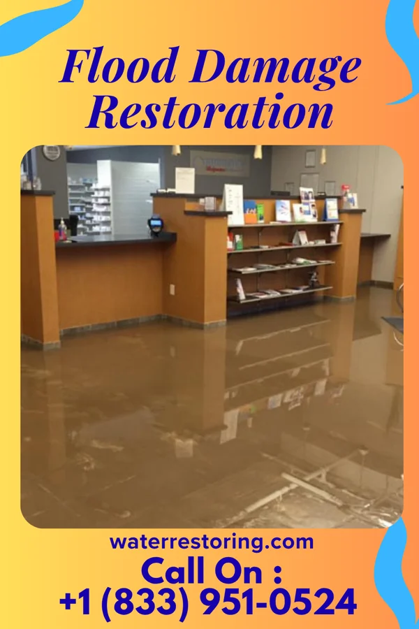 Flood Damage Restoration in Bradford Woods, PA