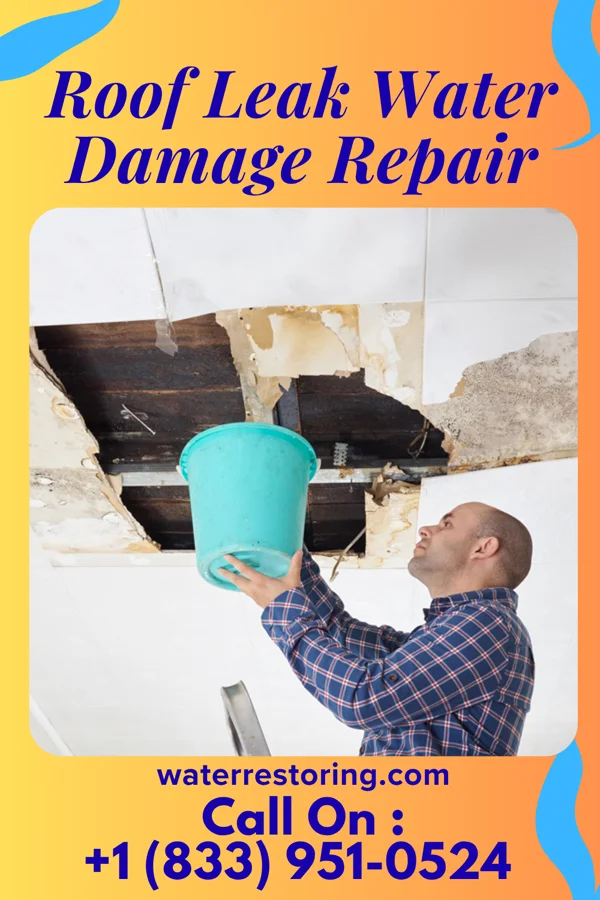 Roof Leak Water Damage Repair in Bradford Woods, PA