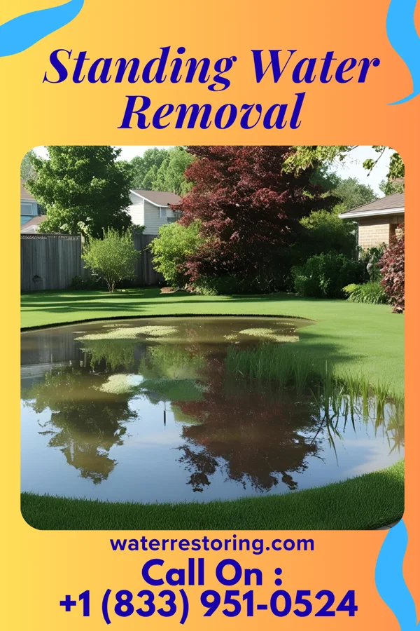 Standing Water Removal in Bradford Woods, PA
